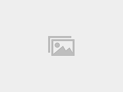 IQ Insurance Group &ndash; Franquicias &ndash; SPN